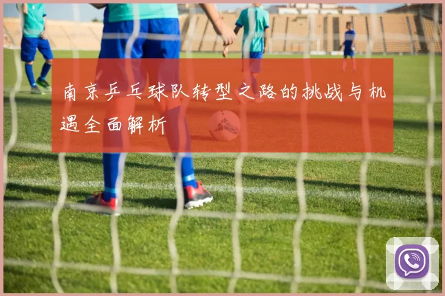 南京乒乓球队转型之路的挑战与机遇全面解析