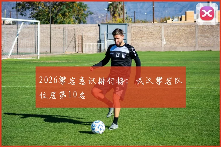 2026攀岩意识排行榜：武汉攀岩队位居第10名