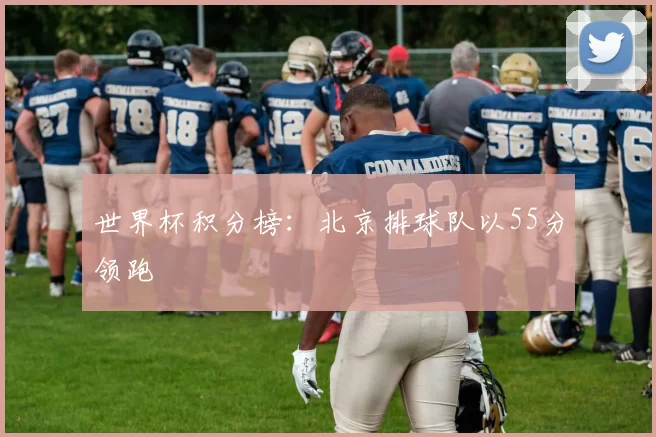 世界杯积分榜：北京排球队以55分领跑